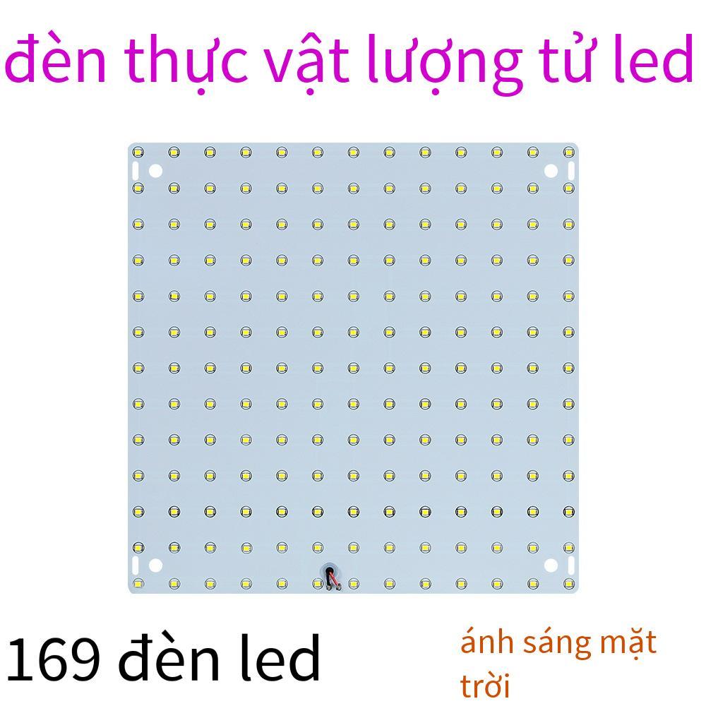 Đảm bảo chất lượng đèn led tăng trưởng thực vật bán chạy nhất trong nhà cây giống ánh sáng bổ sung đèn trồng cải cách hành chính toàn phổ tấm lượng tử đèn thực vật