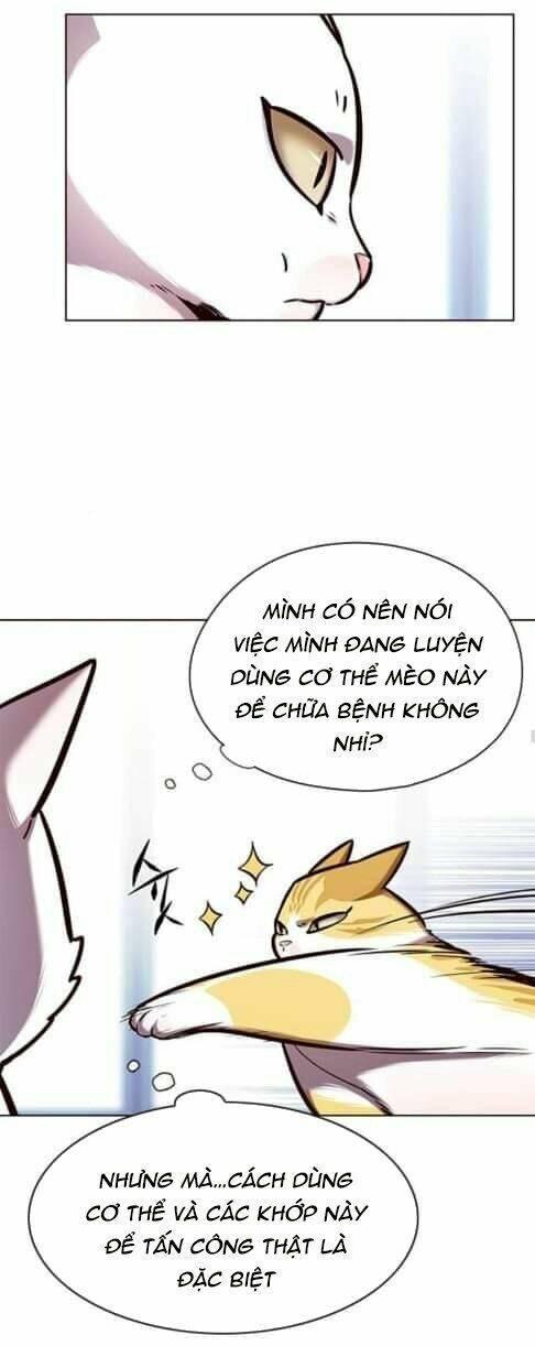 biến thân thành mèo chapter 144 20