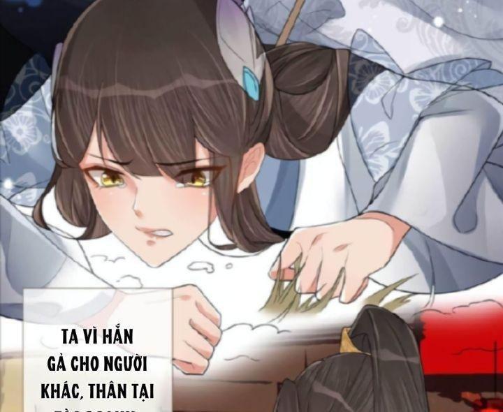 lấy thiên hạ làm sính lễ: vương phi lại trêu ta chapter 1 14