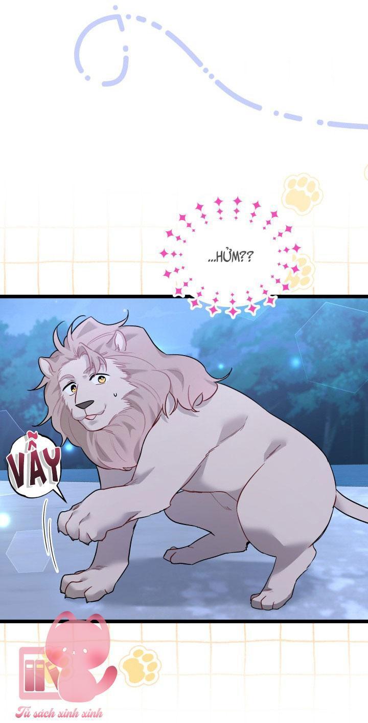 quan hệ cộng sinh giữa báo đen và thỏ trắng chapter 107 33