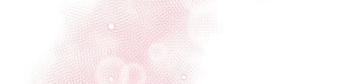 công chúa của loài chim chapter 50.1 451