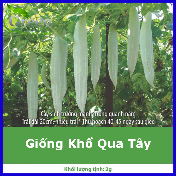 Hạt Giống Khổ Qua Tây Sai Trái (KVX.002)