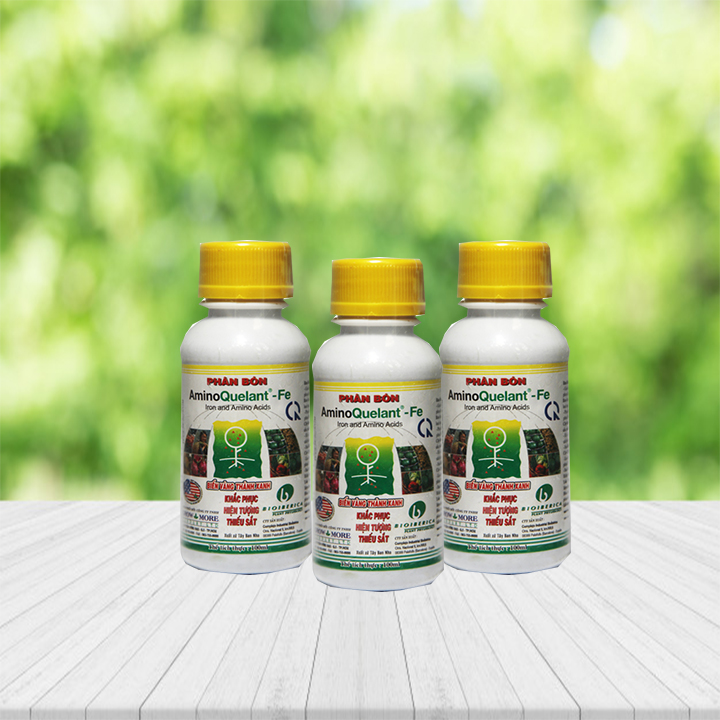 Combo 3 chai phân bón Amino-Fe (100ml/chai) - bổ sung sắt cho cây, tạo màu cho hoa lan, kiểng, bonsai, cây ăn trái