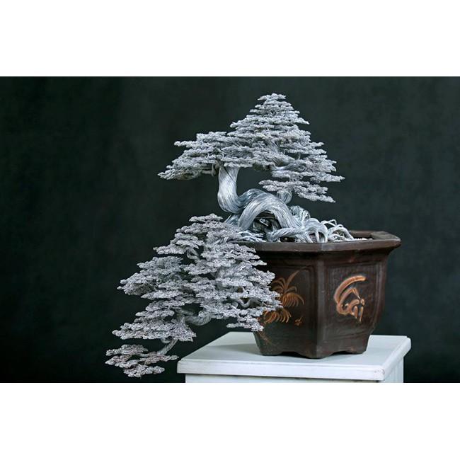 4kg kẽm màu bonsai nhiều màu
