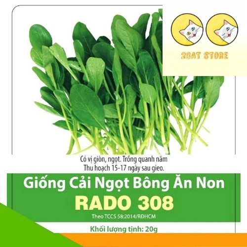 Hạt giống Cải ngọt bông ăn non, 20gr, cải ngồng ăn non, thu hoạch sau 15 ngày