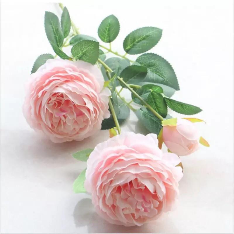 Cành hoa mẫu đơn Paeonia cao 61cm trang trí nhà cửa