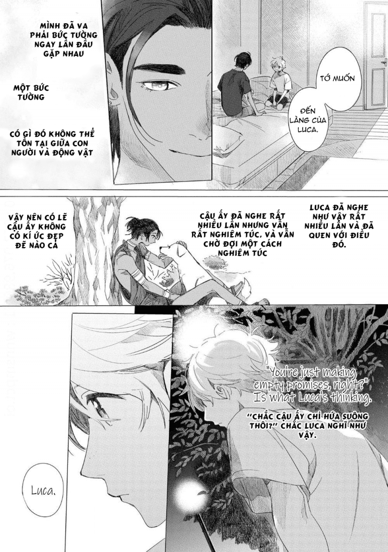 đất nước của những chú sư tử chapter 5 17