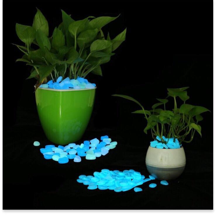 20 viên sỏi phát sáng, đá cuội dạ quang trang trí hồ cá, tiểu cảnh, chậu cây cảnh