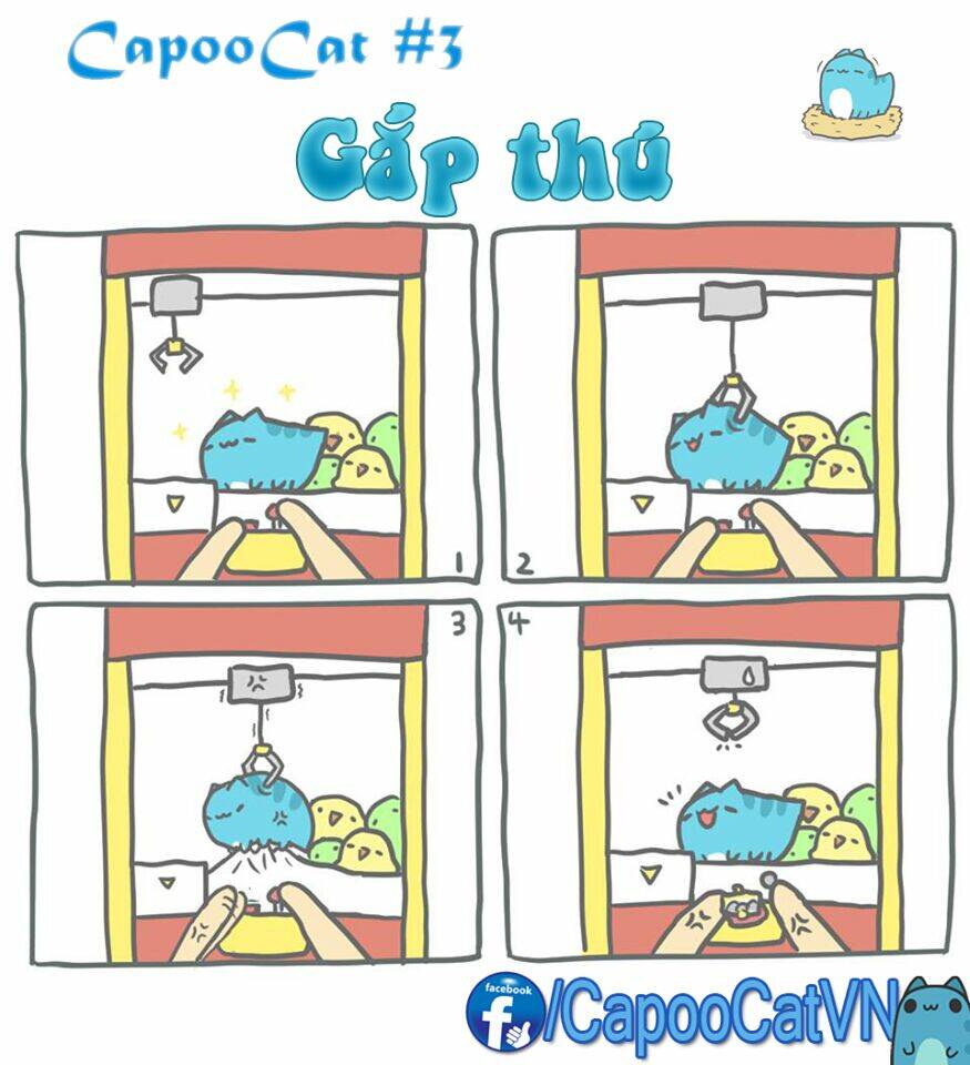 capoo cat chapter 1 3