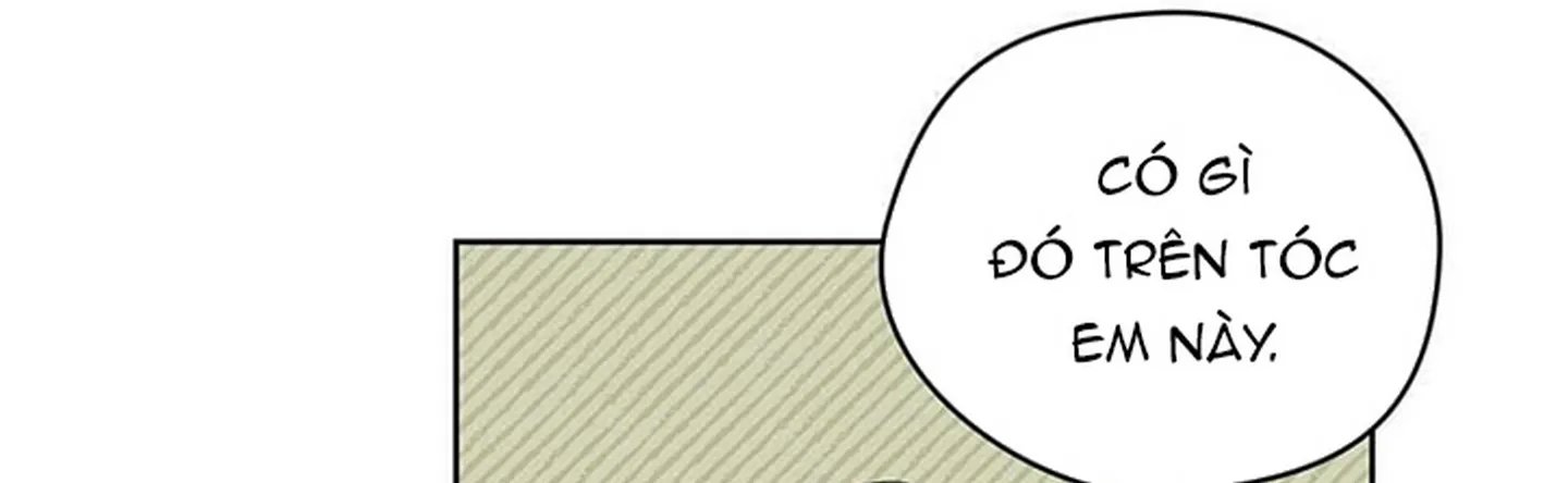 chuyện quái gì với giấc mơ đó vậy chapter 12 325