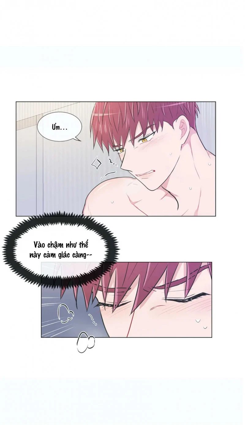 anti p.t chapter 55 13