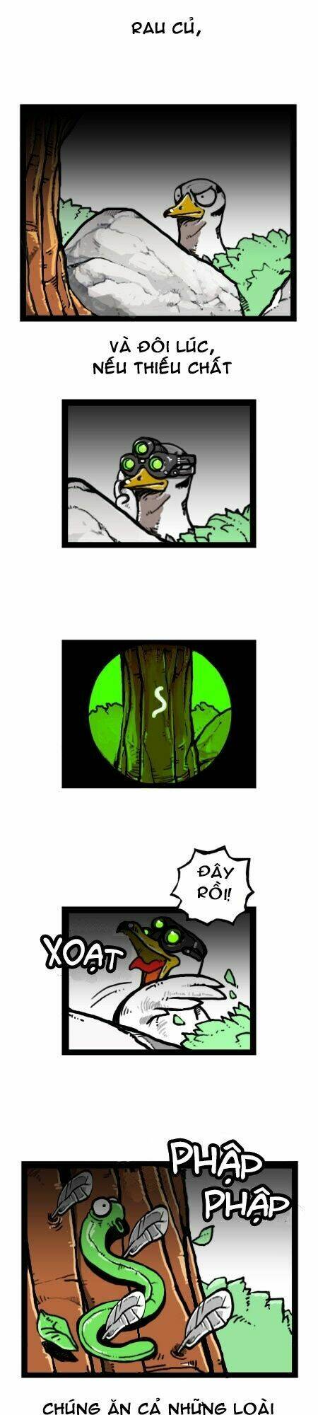 earth, human, and animal chapter 18 9