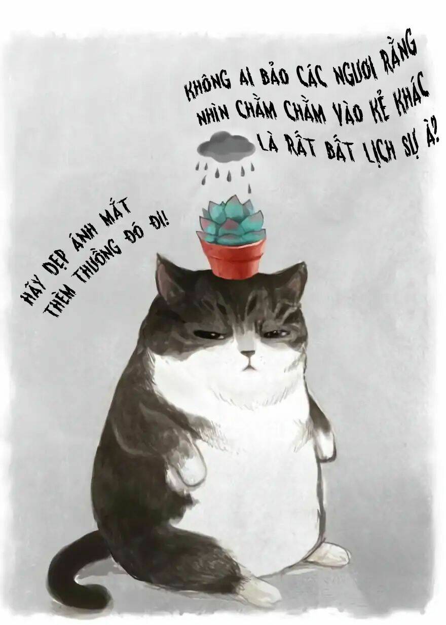 biết là ghét đấy, nhưng không thể buông bỏ chapter 1 3