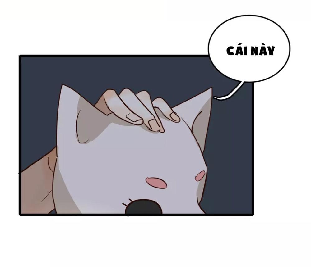 tình yêu dưới mái hiên chapter 38.5 16