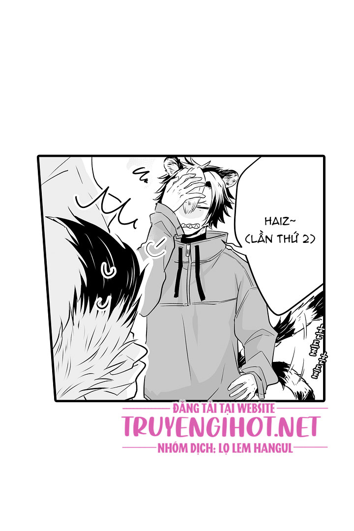 gấu ngủ đông chapter 3.4 13