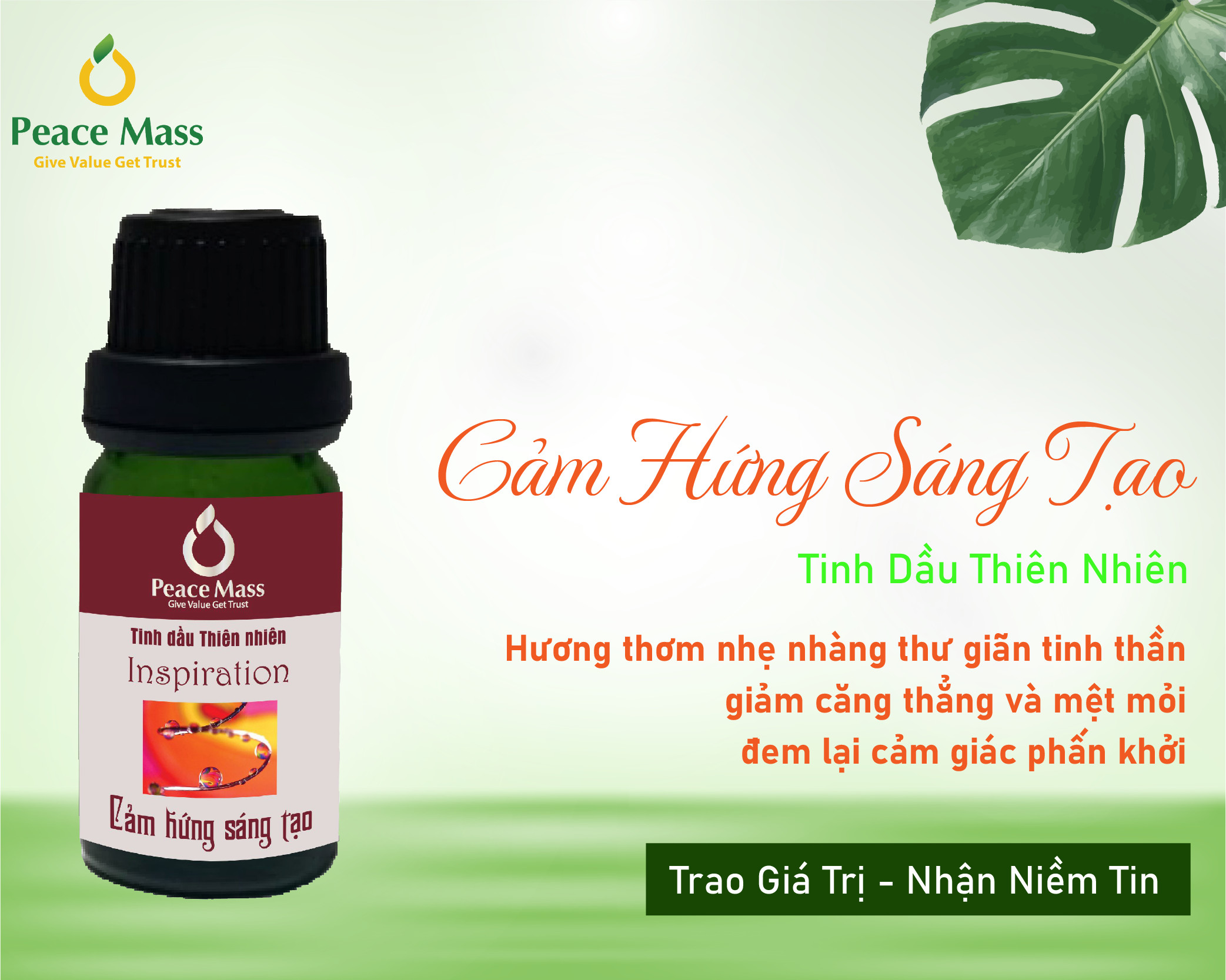 Tinh dầu Cảm Hứng Sáng Tạo Peace Mass dùng cho máy xông 10ml