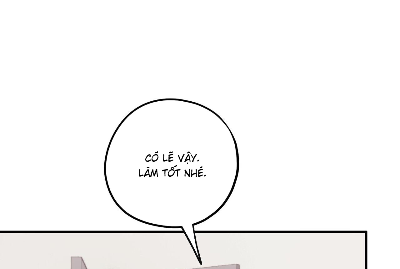 chàng dâu nhà họ kang chapter 43 67