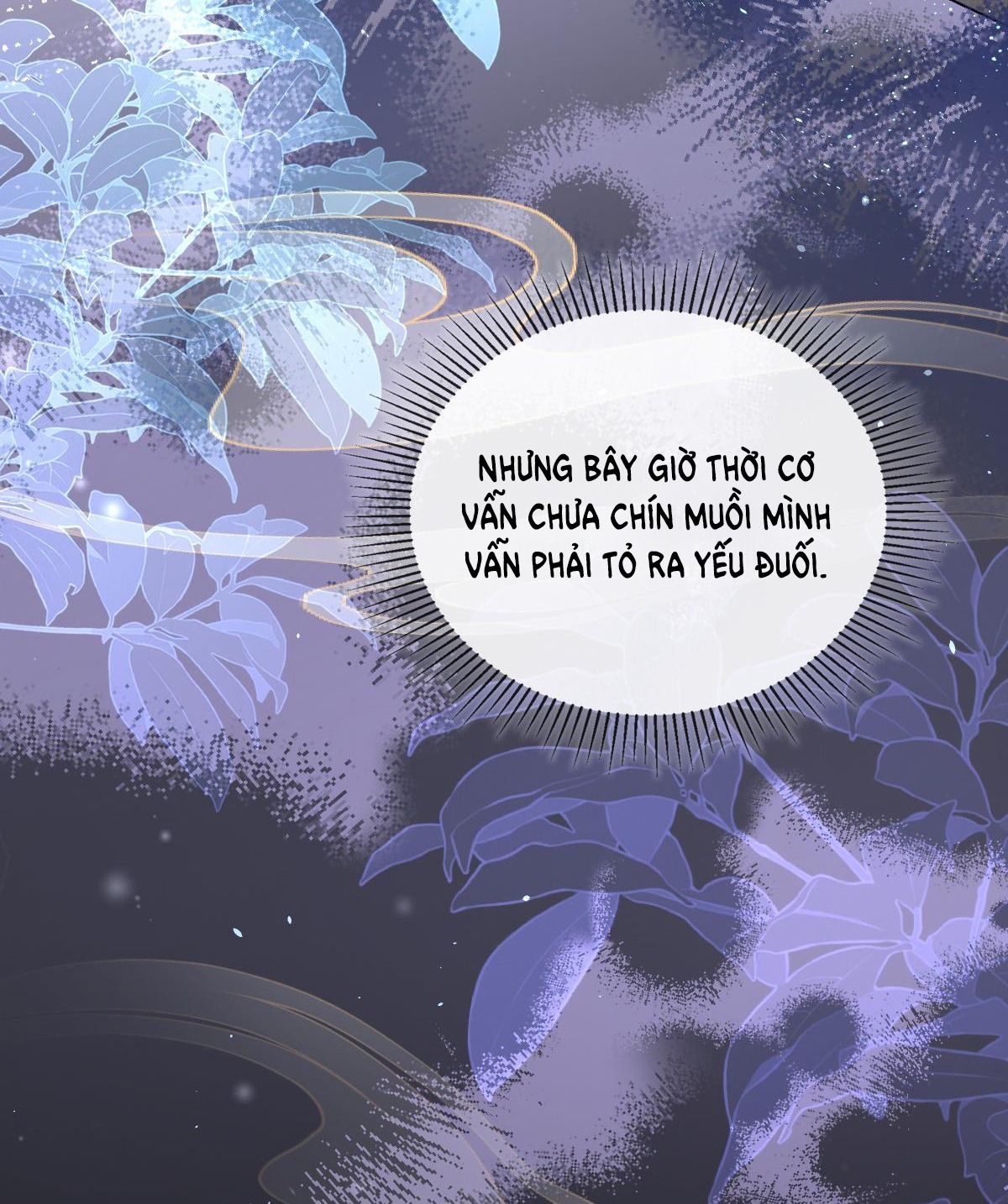 kiều dưỡng mỹ nhân điên chapter 6.2 10