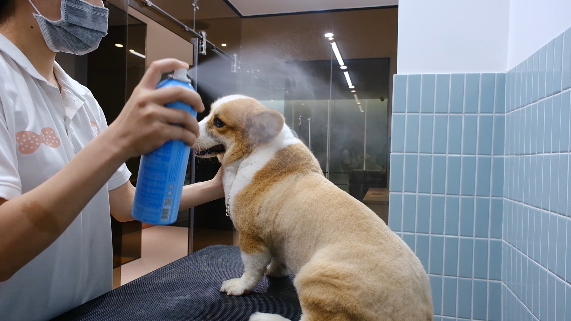Khử mùi hôi, nước tiểu cho thú cưng BNP chai 250ml - dạng xịt phun sương - Hương Cam