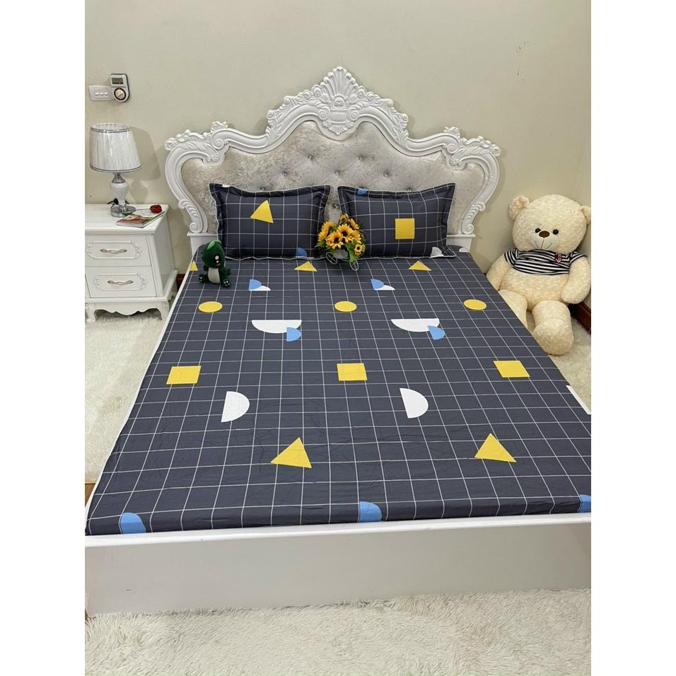 Bộ ga chun trơn và 2 vỏ gối 100% cotton hàn các kích thước