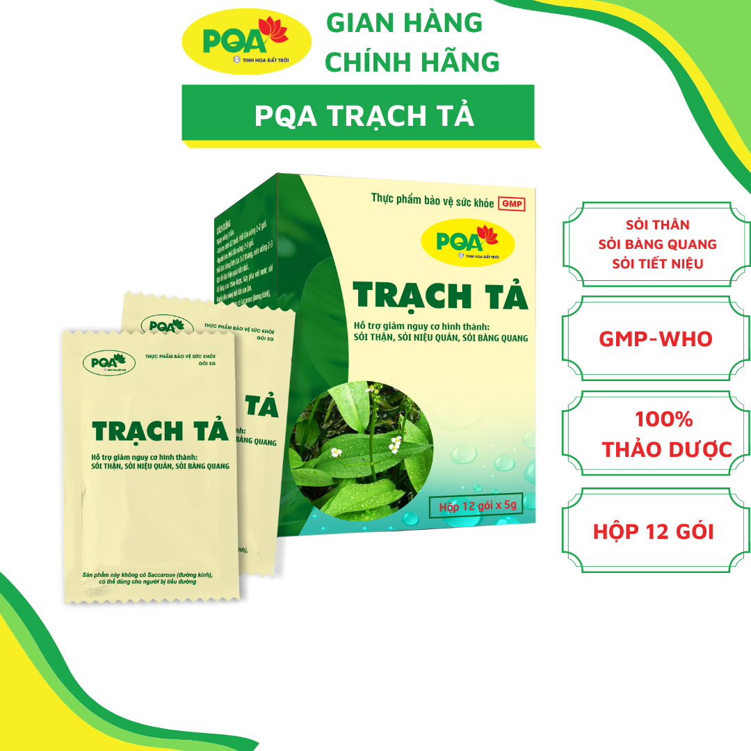 Trạch Tả PQA Giúp Thanh Nhiệt Lợi Niệu, Hỗ Trợ Giảm Nguy Cơ Hình Thành Sỏi Thận Hộp 12 Gói