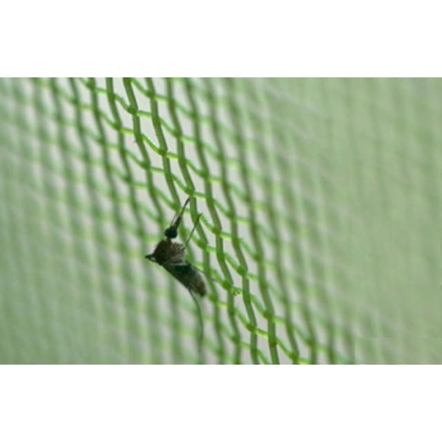 Rèm cửa màn chống muỗi côn trùng loại 206143