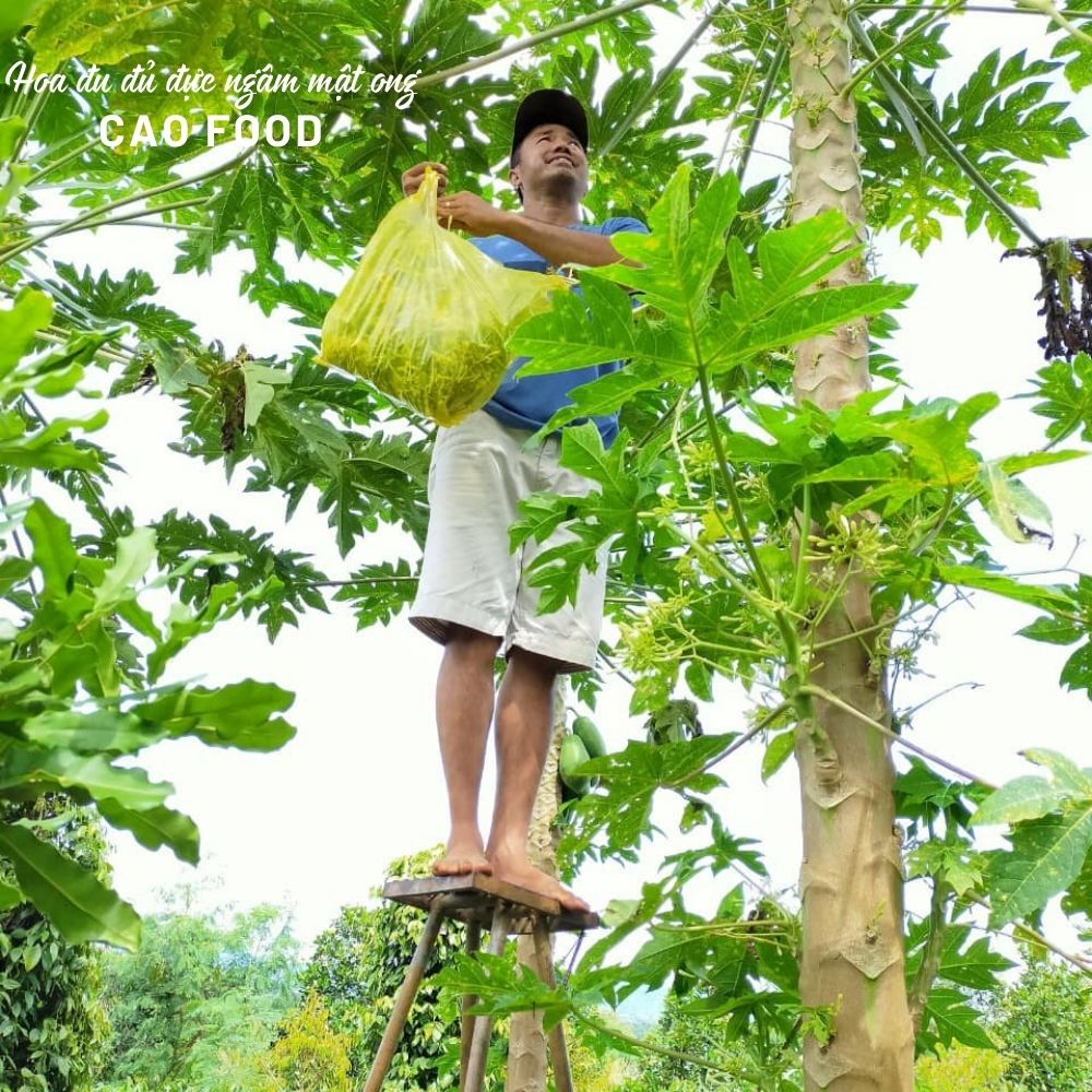 Mật ong ngâm hoa đu đủ đực CAO FOOD nguyên chất tự nhiên - vị ngọt vừa phải, dùng vừa thơm và ngon, rất dễ uống