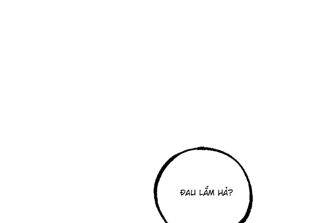 những chú thỏ của hapypy chapter 60 210