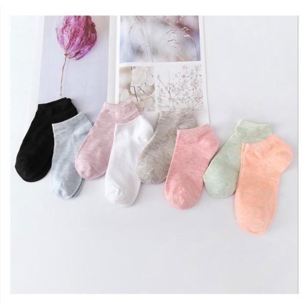 Vớ Nữ Xuất Khẩu Cotton 100% Co Giãn Nhiều Màu