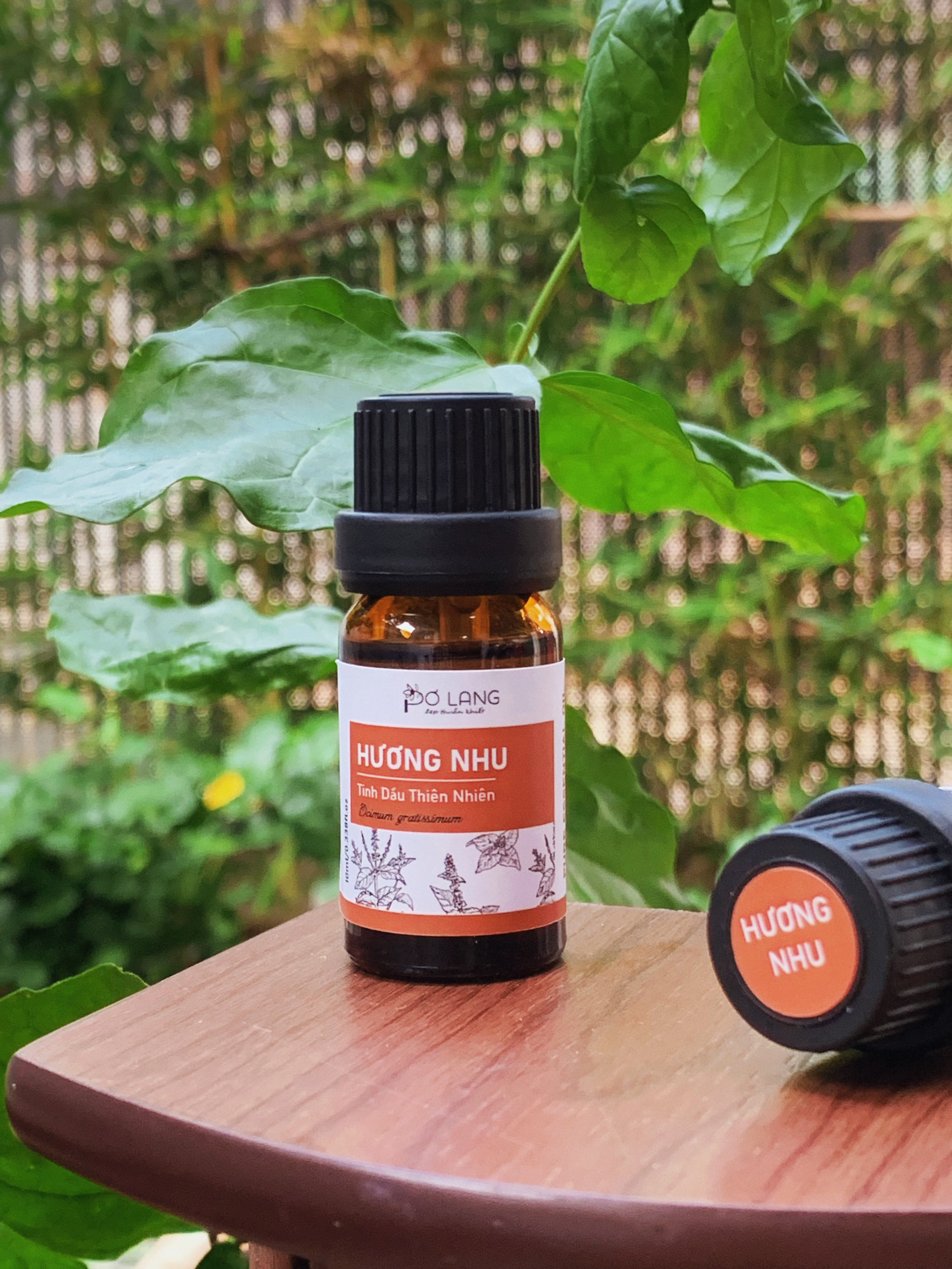 Tinh dầu hương nhu thiên nhiên giúp dưỡng tóc, giúp giải cảm, hỗ trợ giảm đau xương khớp