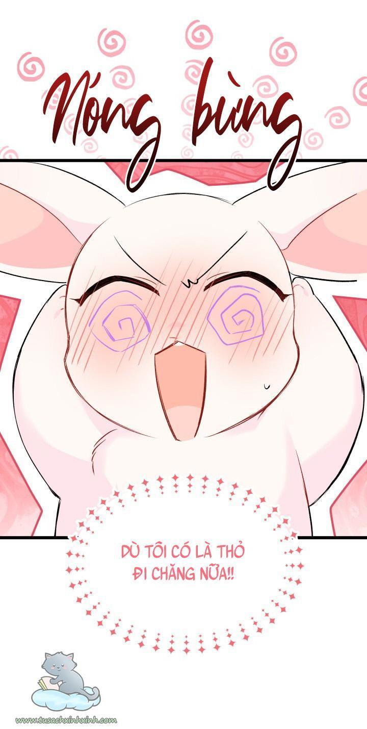 quan hệ cộng sinh giữa báo đen và thỏ trắng chapter 46 54