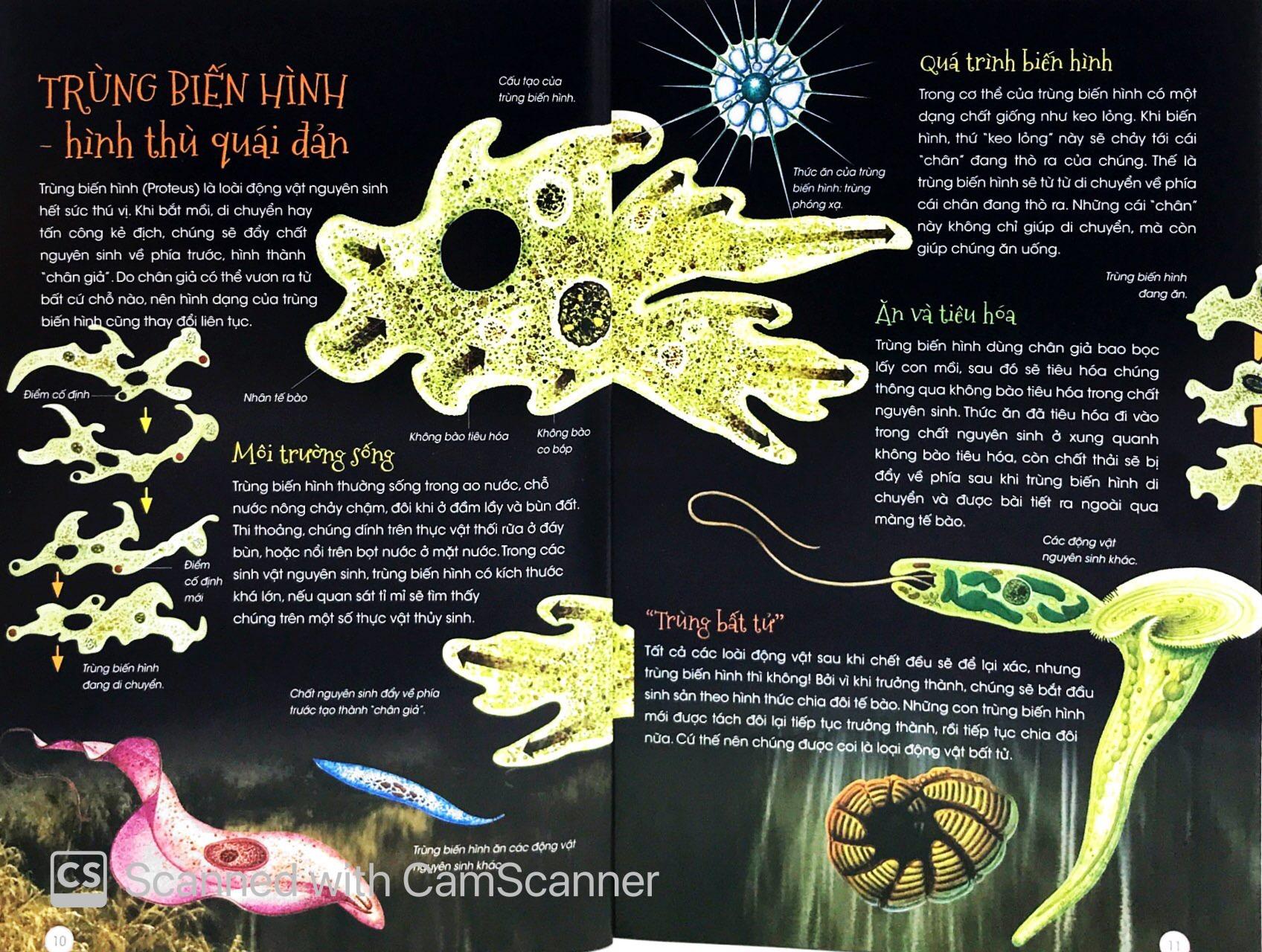 Sách Động Vật Kỳ Quặc