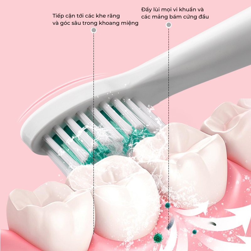 Hộp Đựng Bàn Chải Điện JETZT B9 đi du lịch tiện dụng, chống bụi an toàn