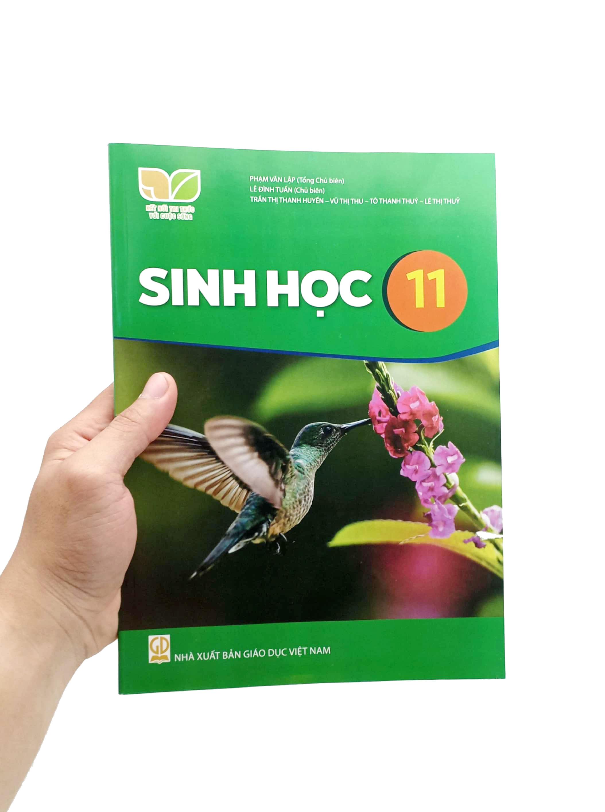 Sinh Học 11 (Kết Nối Tri Thức) (2023)
