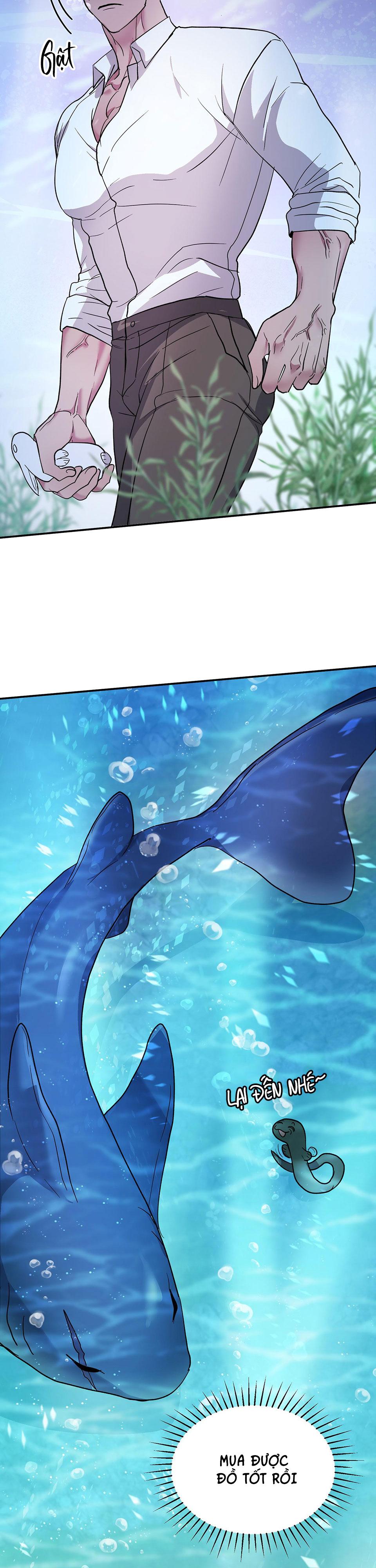 cá mập và cô dâu thỏ chapter 1 15