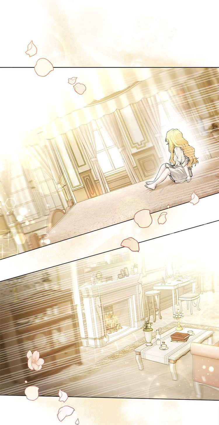 tìm lại nàng camellia chapter 2 8