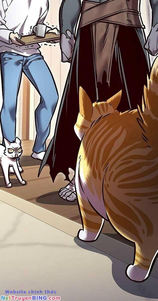 biến thân thành mèo chapter 278 4