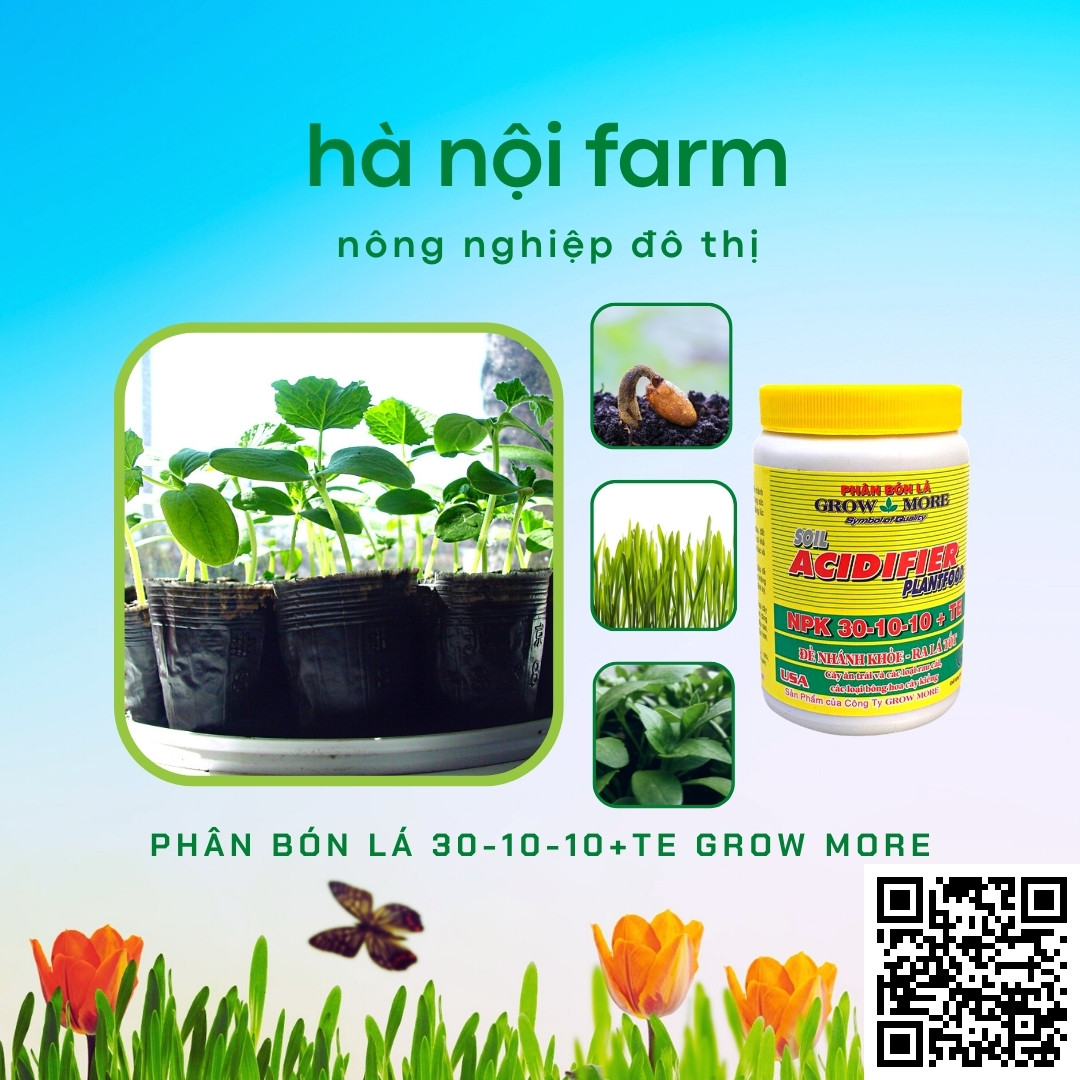 Phân bón lá 30-10-10 Grow More - Hũ 100g