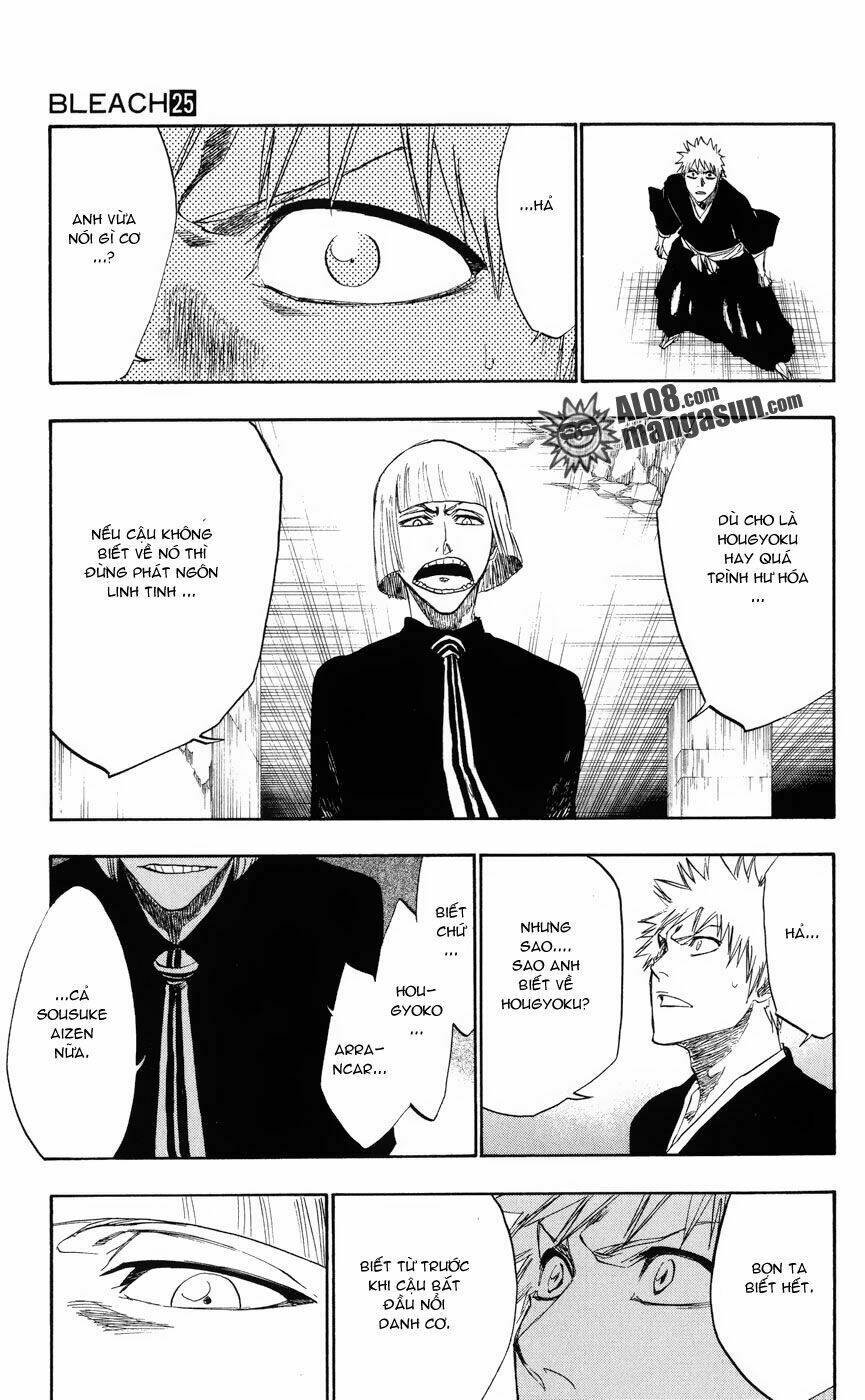 thần chết ichigo chapter 217 13