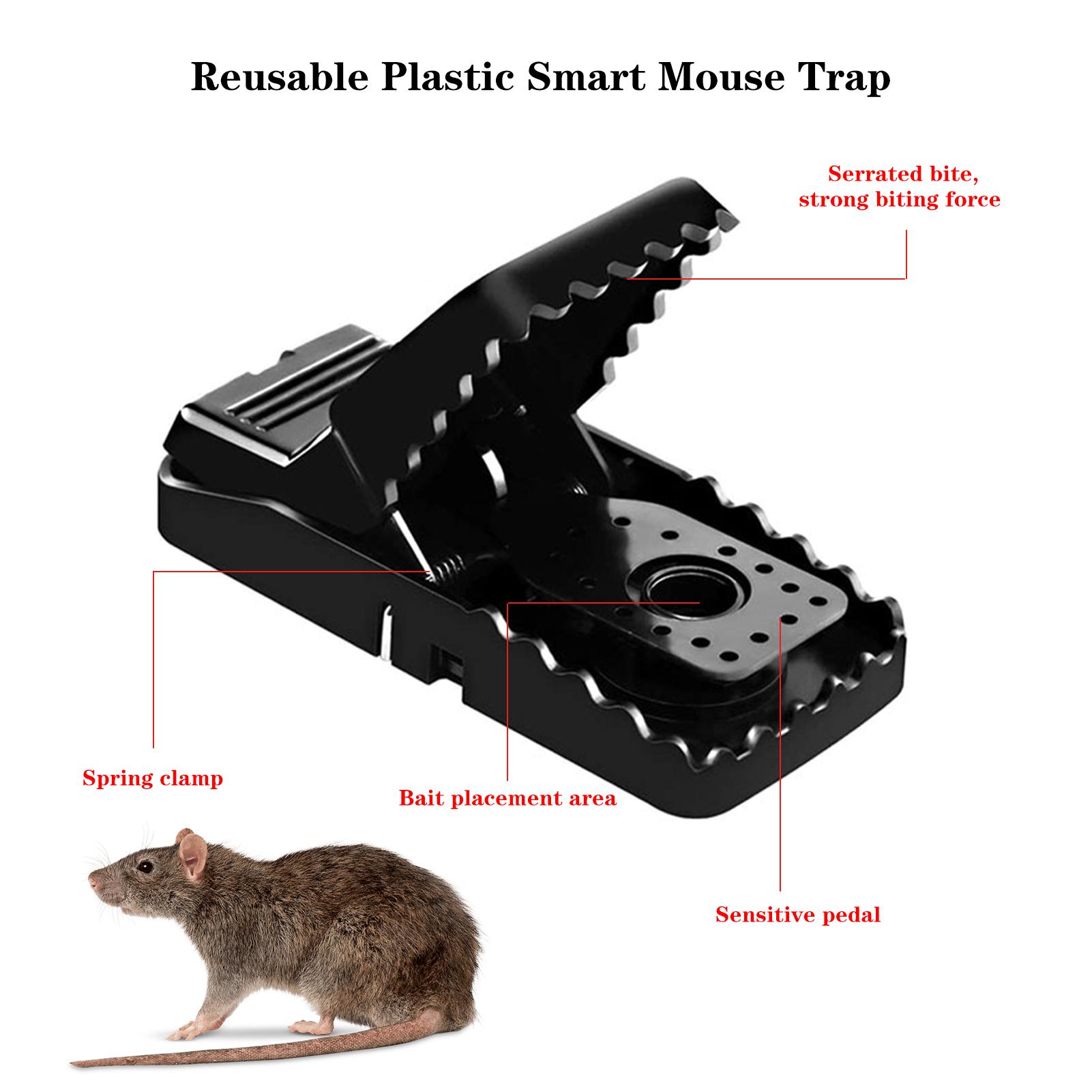 6 CÁI Bẫy Chuột P-lastic S-mart có thể tái sử dụng