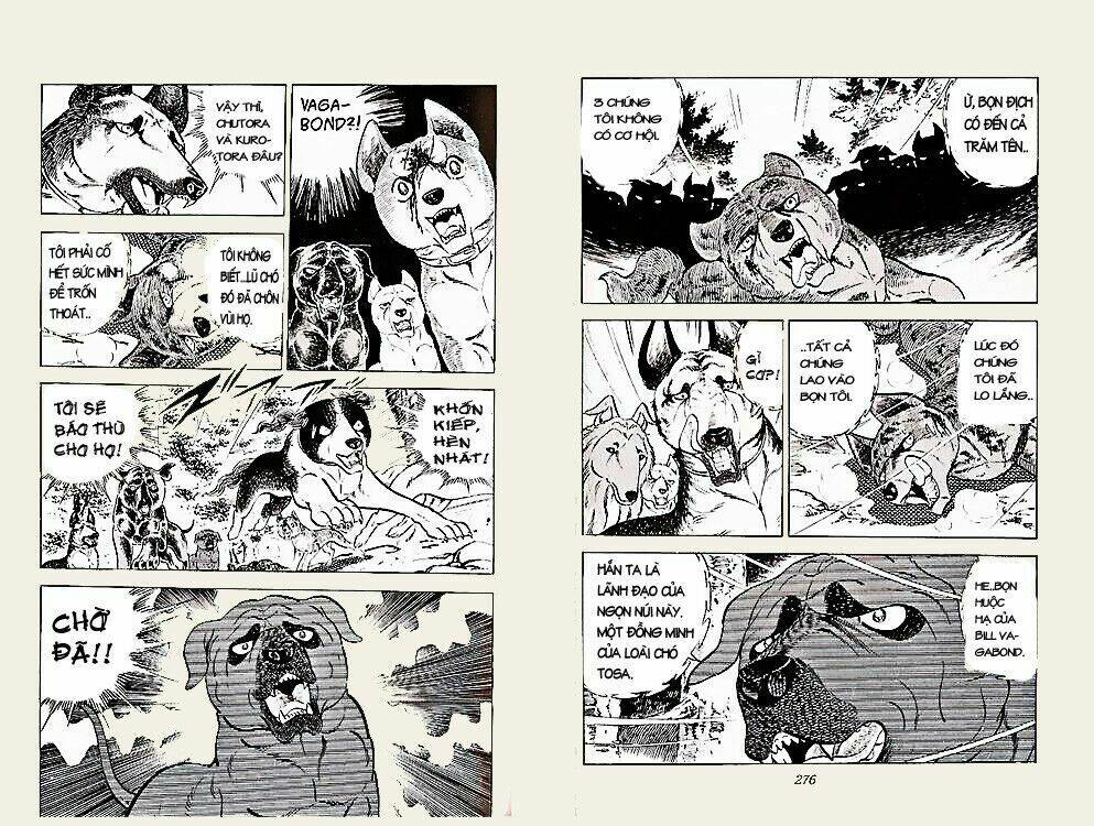 chú chó có nghĩa - ginga nagareboshi gin chapter 23 2