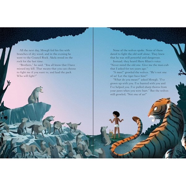 Usborne ER Jungle Book