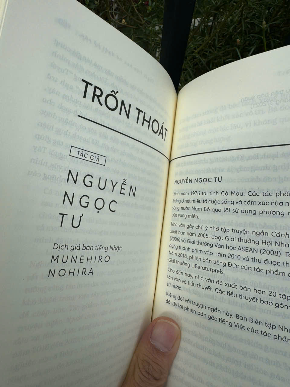 TUYỆT DUYÊN - 9 TRUYỆN NGẮN CỦA 9 TÁC GIẢ TRẺ CHÂU Á – Nhiều tác giả – Duy Ngọc dịch – NXB Trẻ