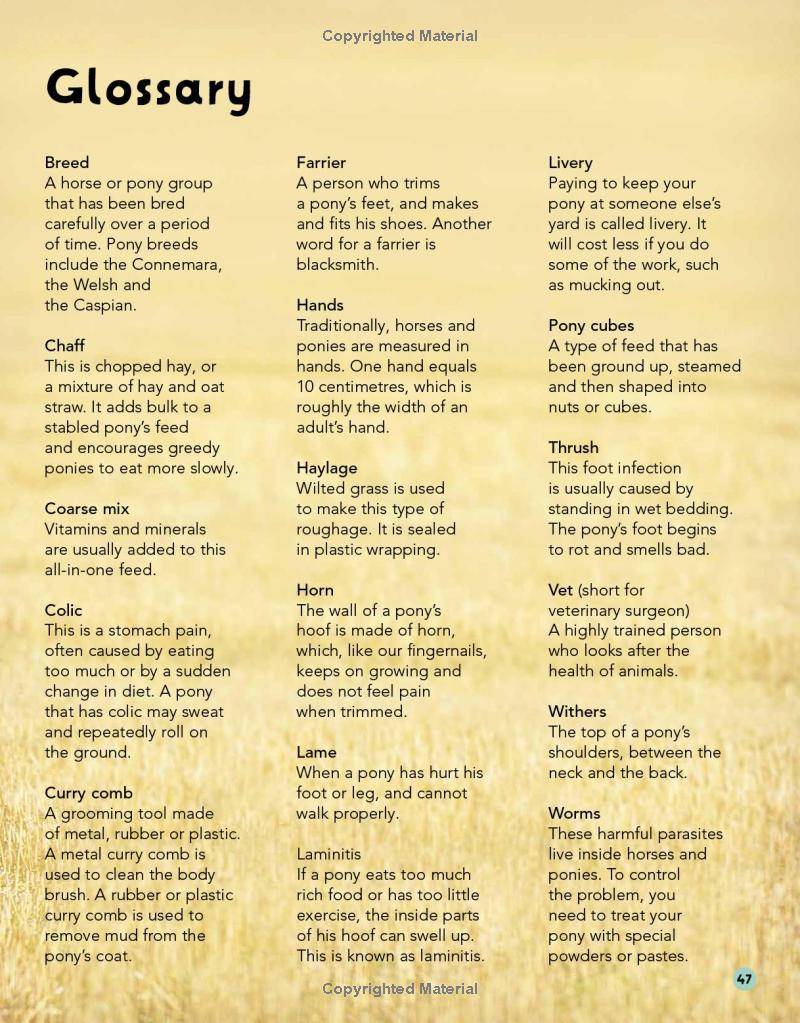 Sách ngoại văn: My First Horse And Pony Care Book