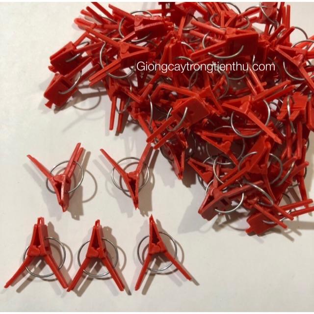 KẸP GHÉP CÂY GIỐNG CHANH DÂY nhập khẩu