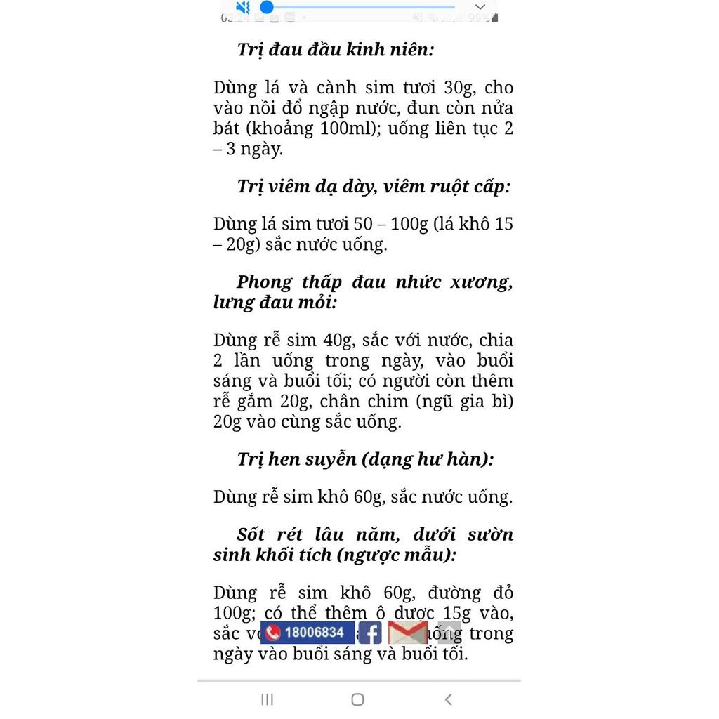 Sim ăn quả cây nhỡ