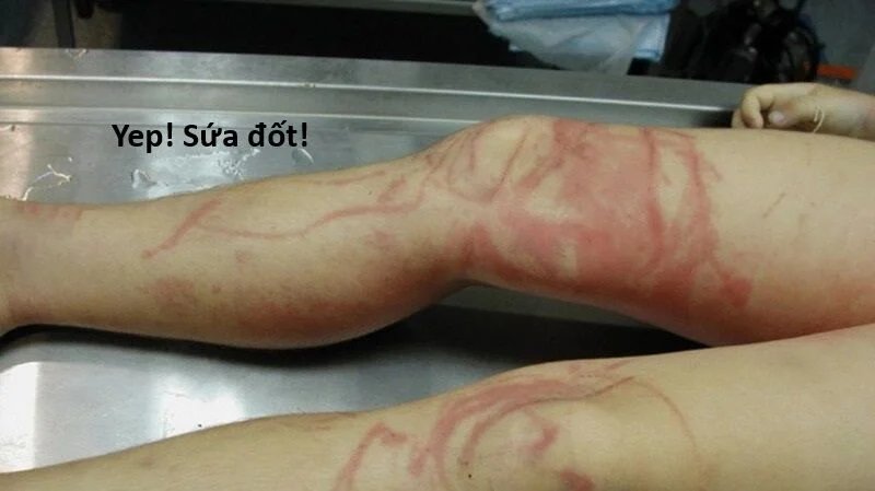 sự lụi tàn của usuzumi chapter 120 54