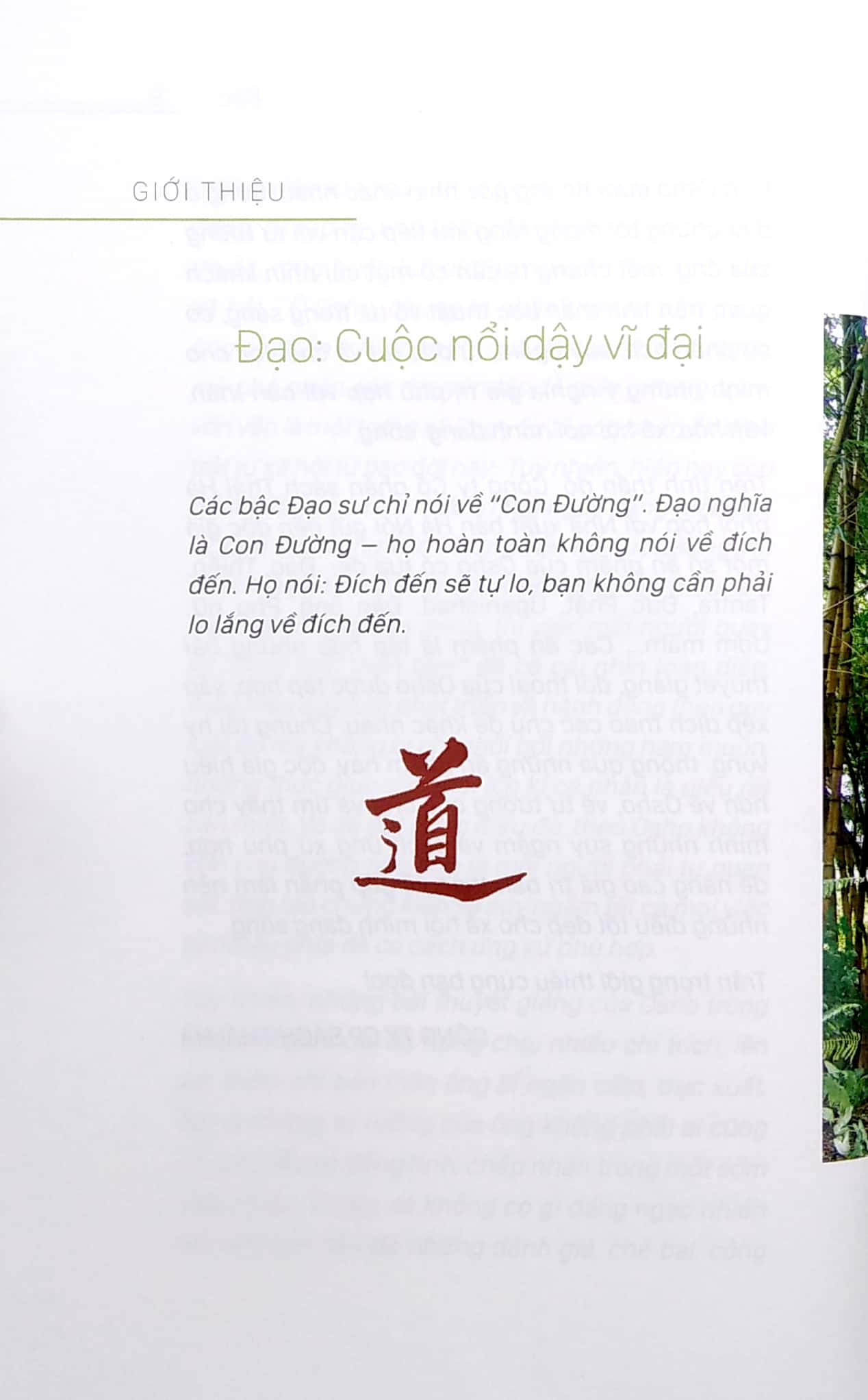 Đạo - Osho