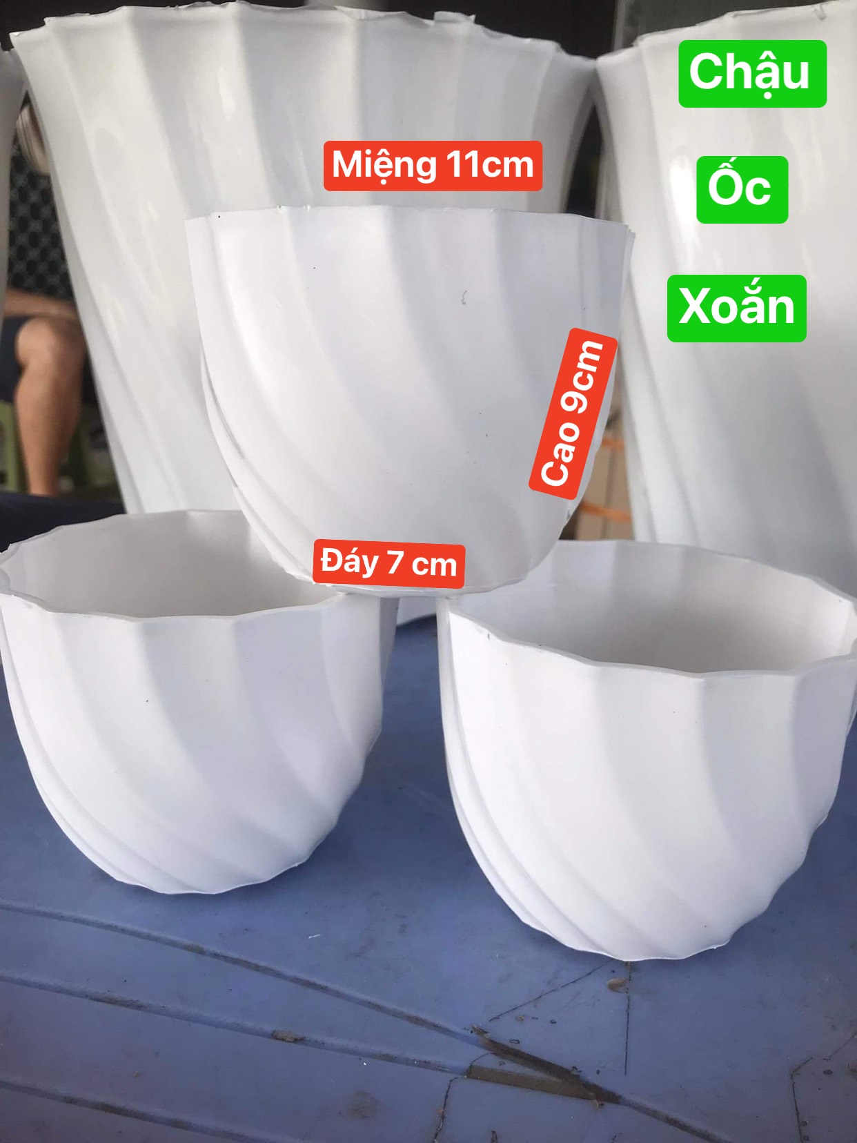 Chậu Trồng Hoa Hình ốc Xoắn mimi Màu Trắng KT 11x9cm