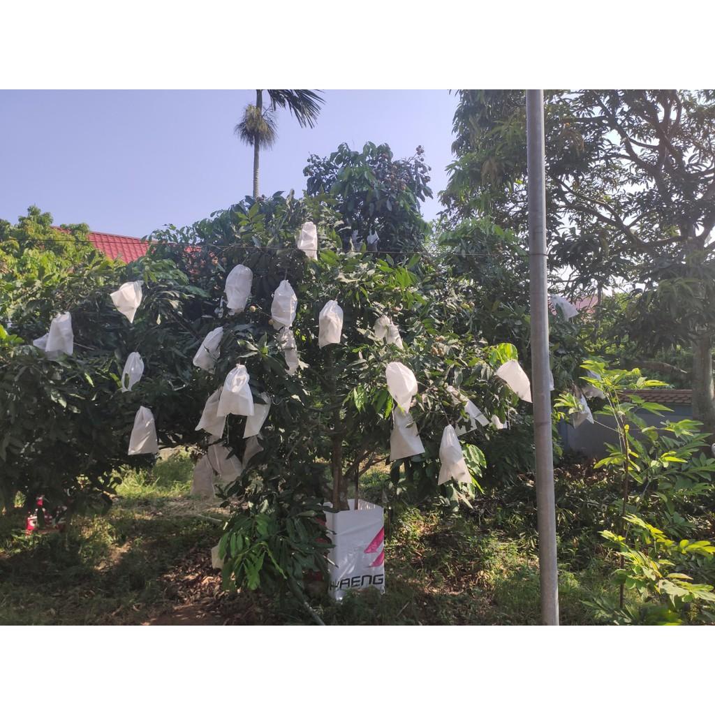 100 Túi Bọc Ổi Bưởi Xoài Na